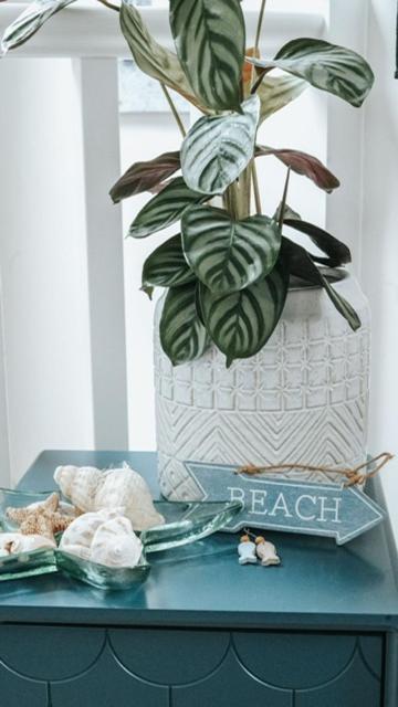 The Sea Loft Castlerock. Apartment ภายนอก รูปภาพ